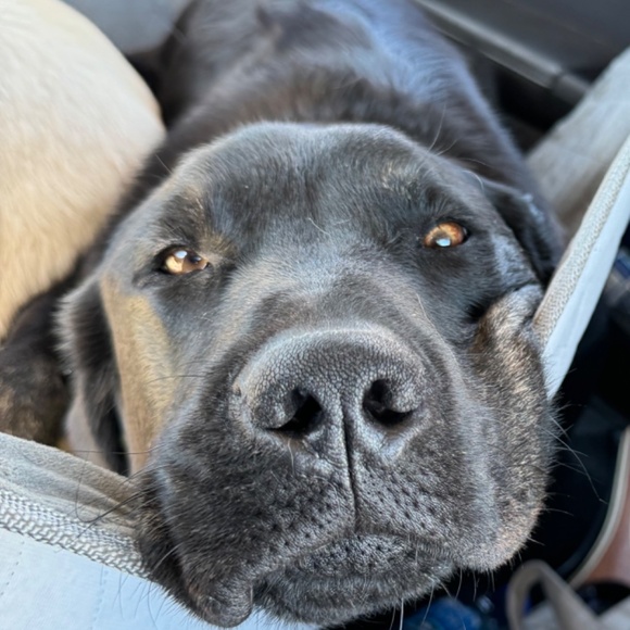 MorganFarms is LIVE! - Picture 2 of 11